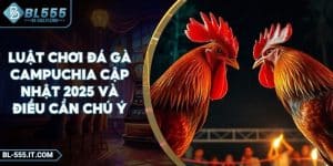 Luật Chơi Đá Gà Campuchia Cập Nhật 2025 Và Điều Cần Chú Ý
